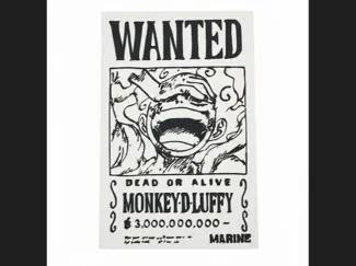 Luffy Bounty Plaque 2D Art