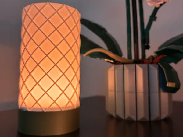https://makerworld.bblmw.com/makerworld/model/US1a0417807f387a/design/2024-12-15_a2a123d842912.jpg