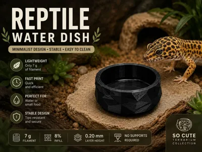 Reptile Water Dish | Gecko & Small Lizard Bowl
