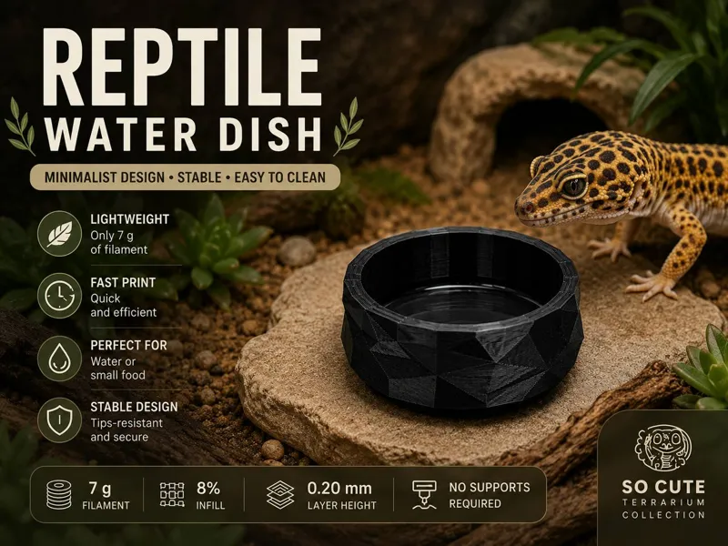 Reptile Water Dish | Gecko & Small Lizard Bowl