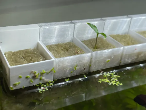 https://makerworld.bblmw.com/makerworld/model/US1a05f29937c197/design/2024-12-17_10f84f73106f8.jpg