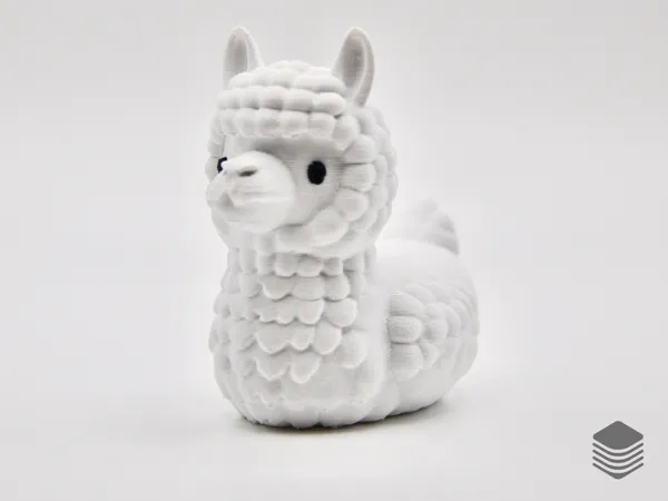 https://makerworld.bblmw.com/makerworld/model/US1a06c3d438567f/design/2025-01-26_2746215e1e761.png