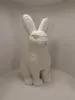 whole rabbit