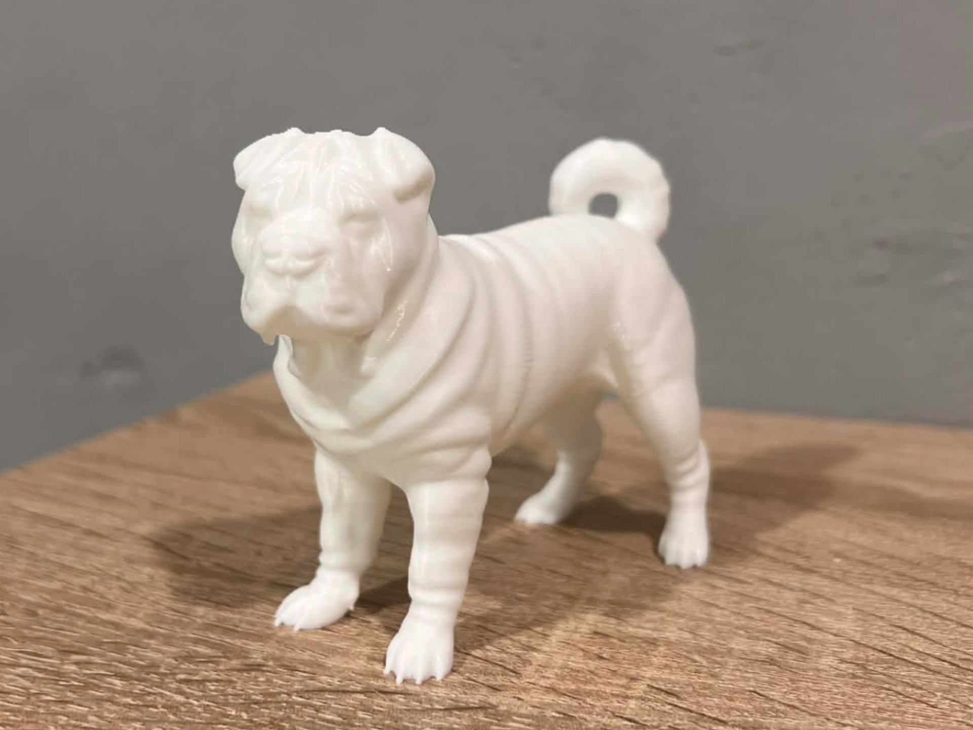 Shar-Pei - Dog - Animal