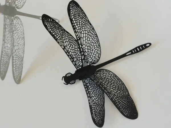 https://makerworld.bblmw.com/makerworld/model/US1a2075c369332e/design/2024-07-30_344f36c63d22a.jpg