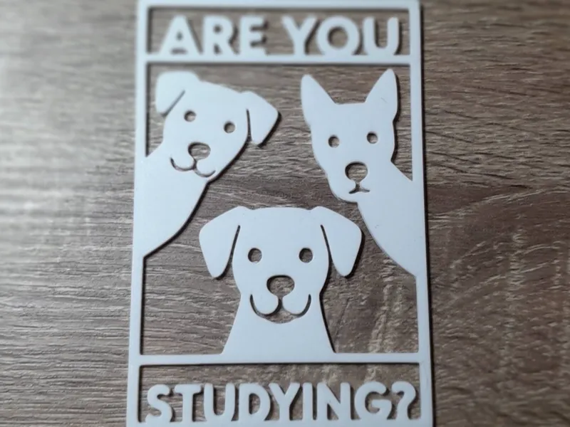 Are you Studying? Dogs