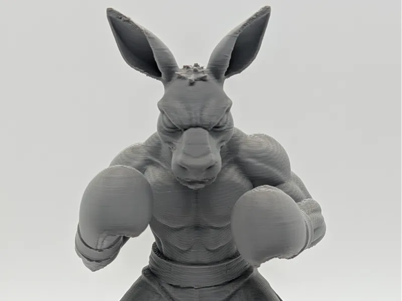 Boxing Roo