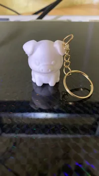 Keychain Version