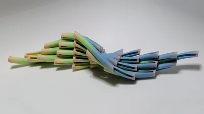 https://makerworld.bblmw.com/makerworld/model/US1a2982f847c7e1/655983761/ratings/7cc581e855cbbef63fbec1f81359c665.jpg