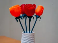 Vase avec roses assorties — photo 1