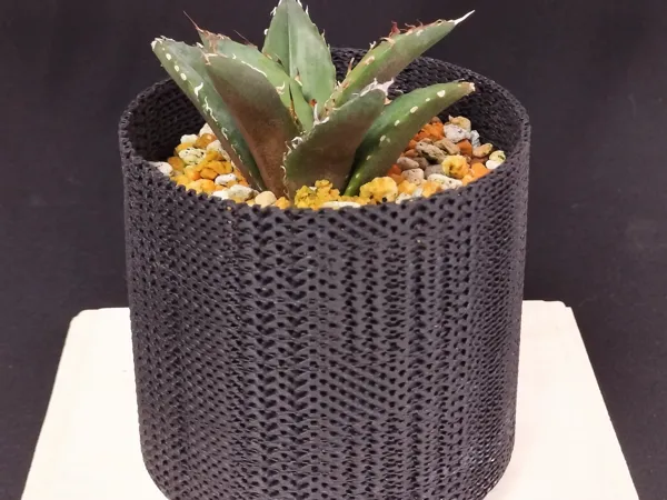 https://makerworld.bblmw.com/makerworld/model/US1a3237b91c6931/design/2024-10-16_20547fd0c514.jpg