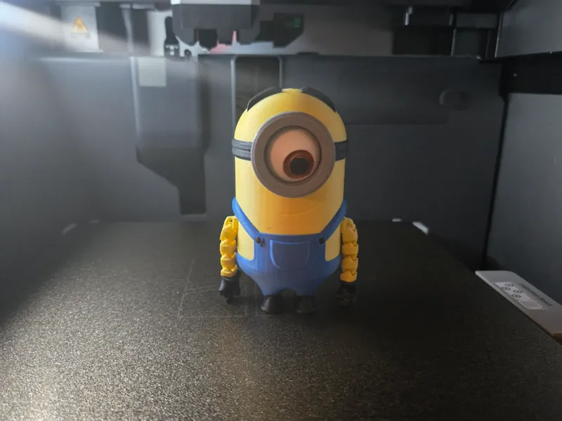 Minion Flexi, Stuart