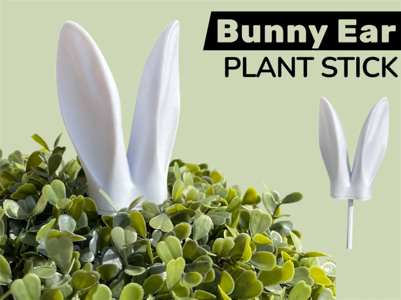 Hasen Ohren Ostern Pflanzen Dekoration 