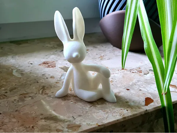 https://makerworld.bblmw.com/makerworld/model/US1a33d971e0fb15/design/3ea06834d92393ae.jpg