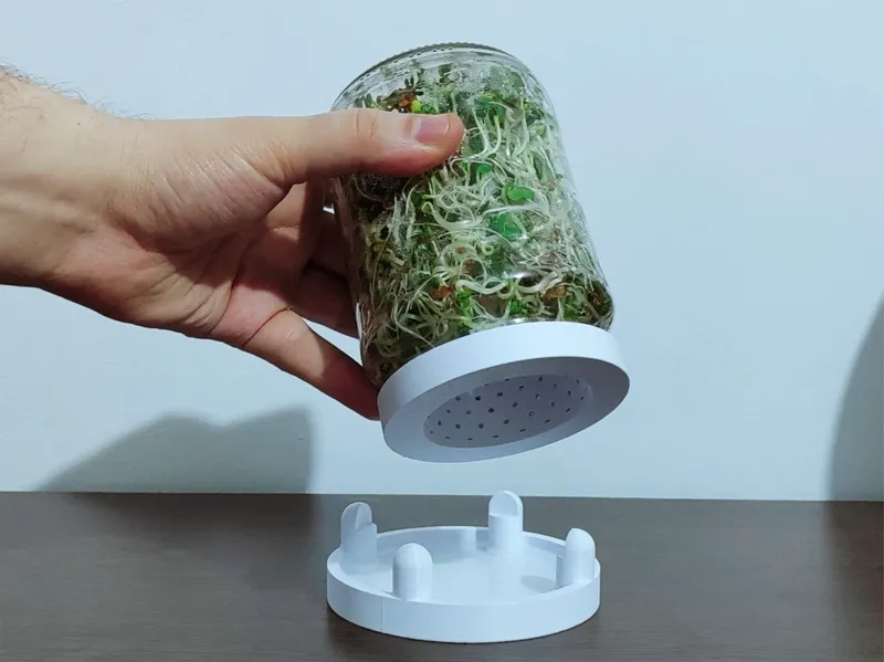 82mm 6-lug Conical Sprout Lid - No Supports