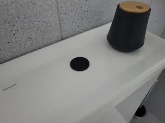Toilet button