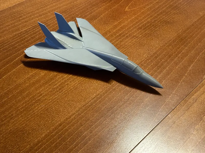 Grumman F-14 Tomcat