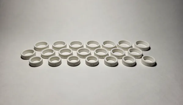 https://makerworld.bblmw.com/makerworld/model/US1a3942c2cc4e29/design/2024-10-12_7a28c98e07c92.jpg
