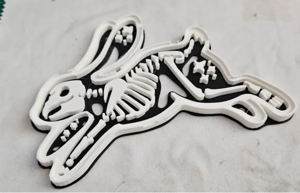 https://makerworld.bblmw.com/makerworld/model/US1a3be1392de4f/design/2024-10-22_9dde01e4ddeec.jpg