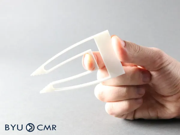 https://makerworld.bblmw.com/makerworld/model/US1a3d8c5889a2b5/design/2025-01-15_b6c227c402c06.webp