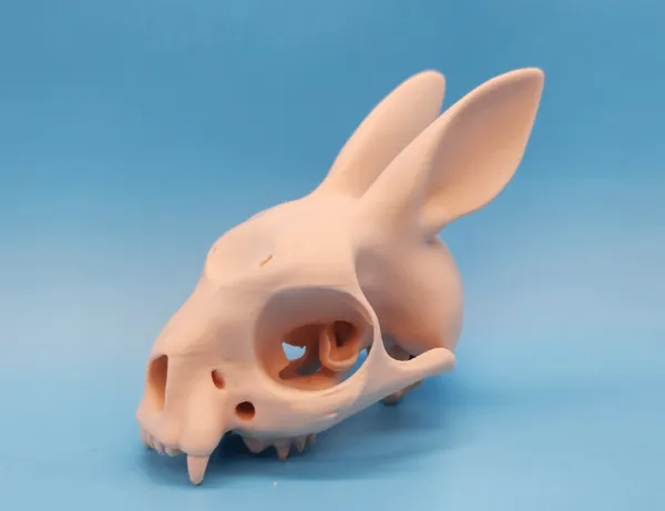 https://makerworld.bblmw.com/makerworld/model/US1a3e59d0bfdf18/design/2025-03-21_q1q3yv66u3m5.jpg