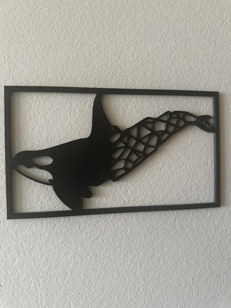killer whale