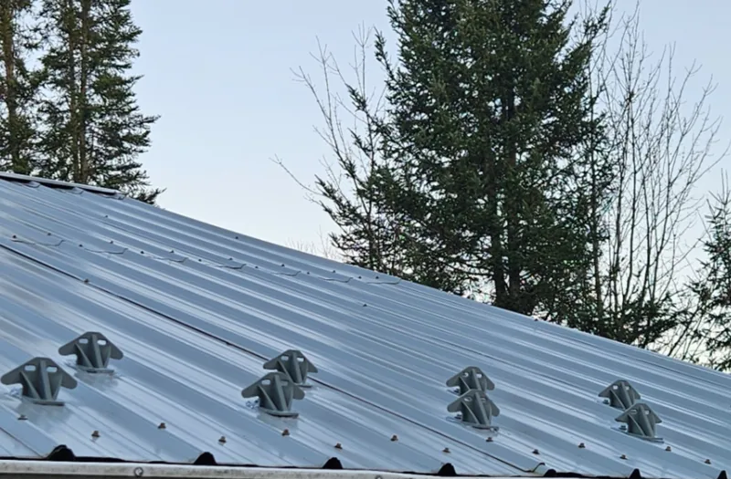 Roof snow guard