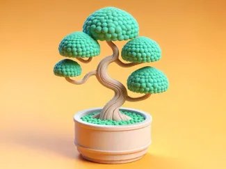 Nice Bonsai