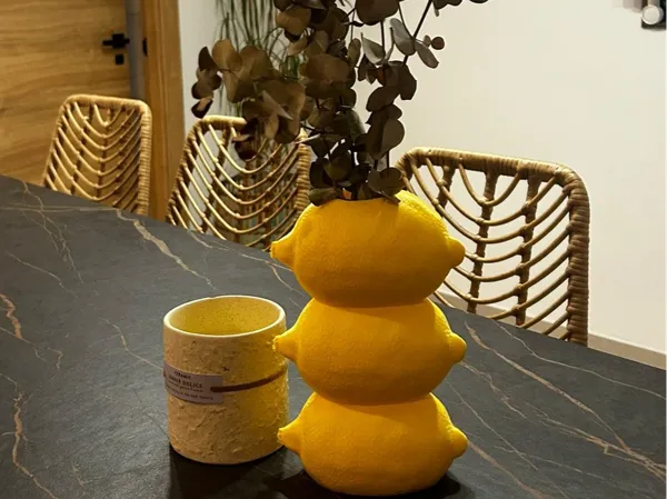 https://makerworld.bblmw.com/makerworld/model/US1a41e1162912f9/design/0f07abb6cbda7672.jpeg