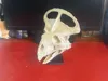 A1 Mini 0.2mm layer, 2 walls, 15% infill