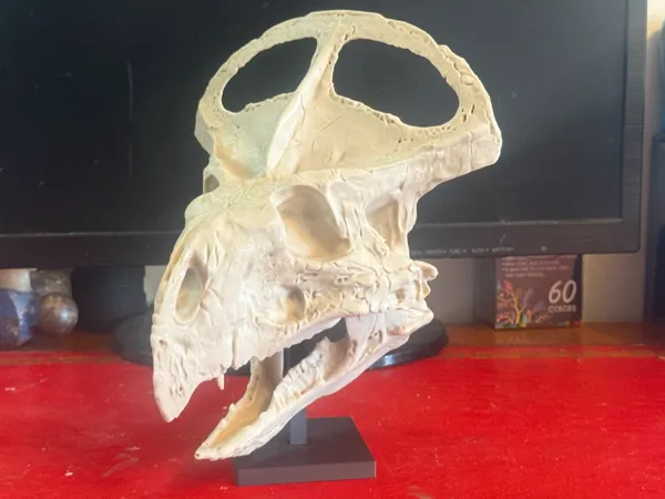 https://makerworld.bblmw.com/makerworld/model/US1a519eadd6f643/design/2026-01-02_477b99eba77d6.jpg