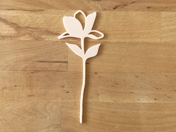 https://makerworld.bblmw.com/makerworld/model/US1a523844addbcb/design/2025-05-27_b5818894f185e.jpeg