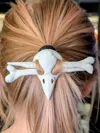 Skull and 2 pins
