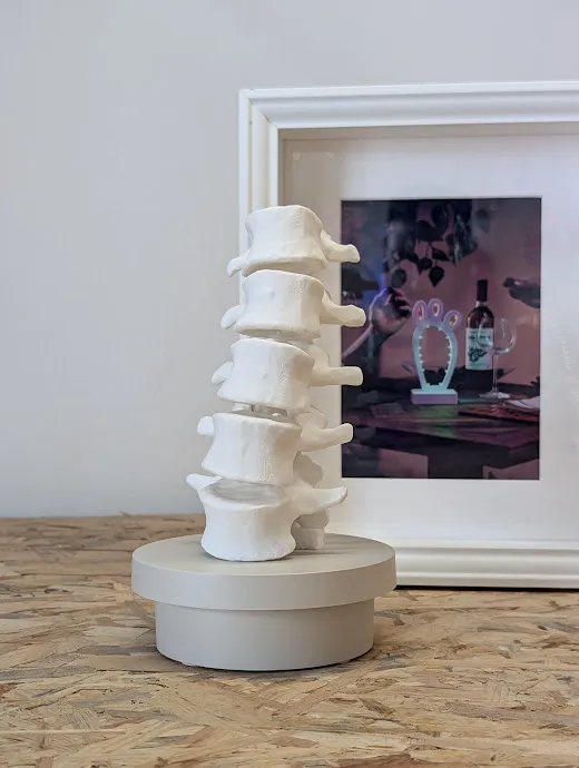 A real creepy lumbar spine - Free 3D Print Model - MakerWorld