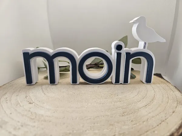 https://makerworld.bblmw.com/makerworld/model/US1a624ef0c66ca2/design/2025-07-12_578550229fe7c.jpg