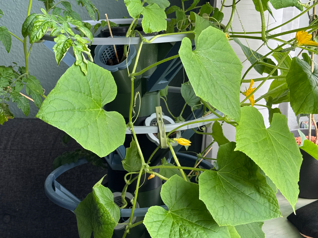 Modular Hydroponic Tower