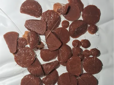 Prank Reindeer Deer Fake Poop, or Chocolate Sliced