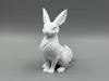 Moonveil Whisper Hare