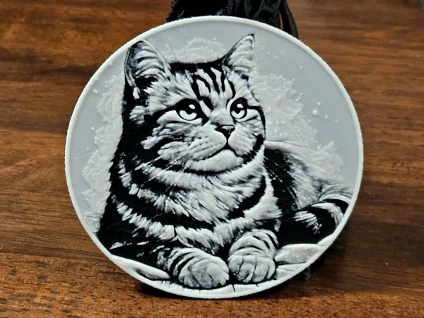 https://makerworld.bblmw.com/makerworld/model/US1a749f4c1751dd/design/2025-01-02_dc16483da0f9c.jpg