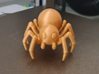 SPIDER
