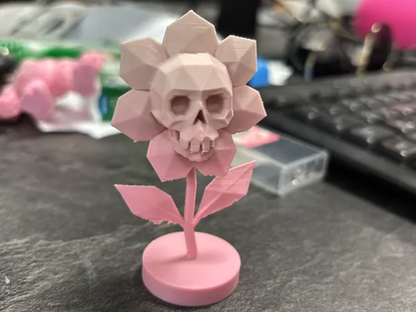 https://makerworld.bblmw.com/makerworld/model/US1a795798a121b6/design/2025-07-12_d679155b9cea7.jpg