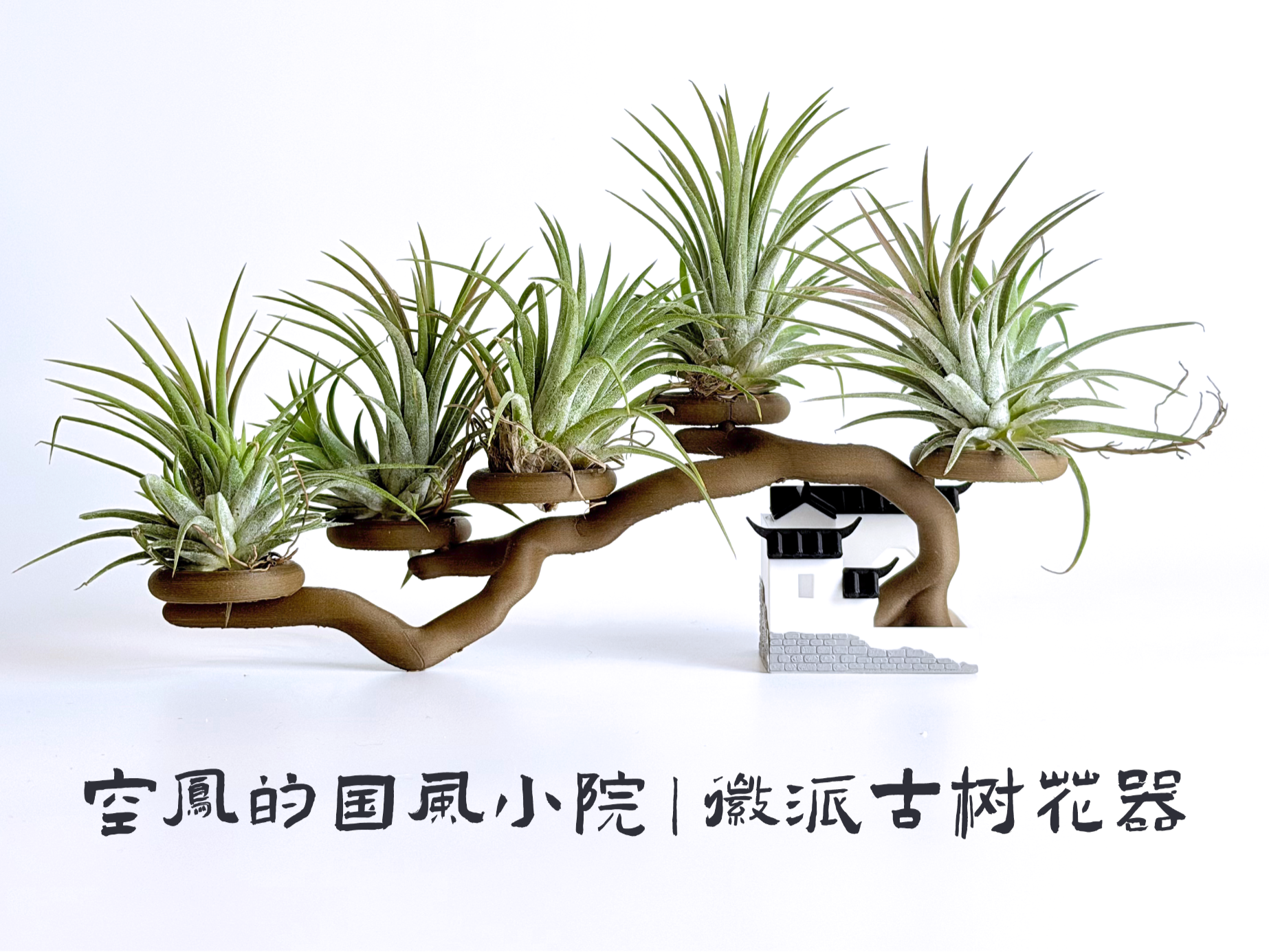 空凤的国风小院｜徽派古树花器
