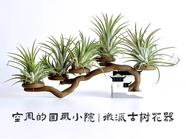 https://makerworld.bblmw.com/makerworld/model/US1a7b3a68aa05c2/design/9d893a5317c6dc11.png