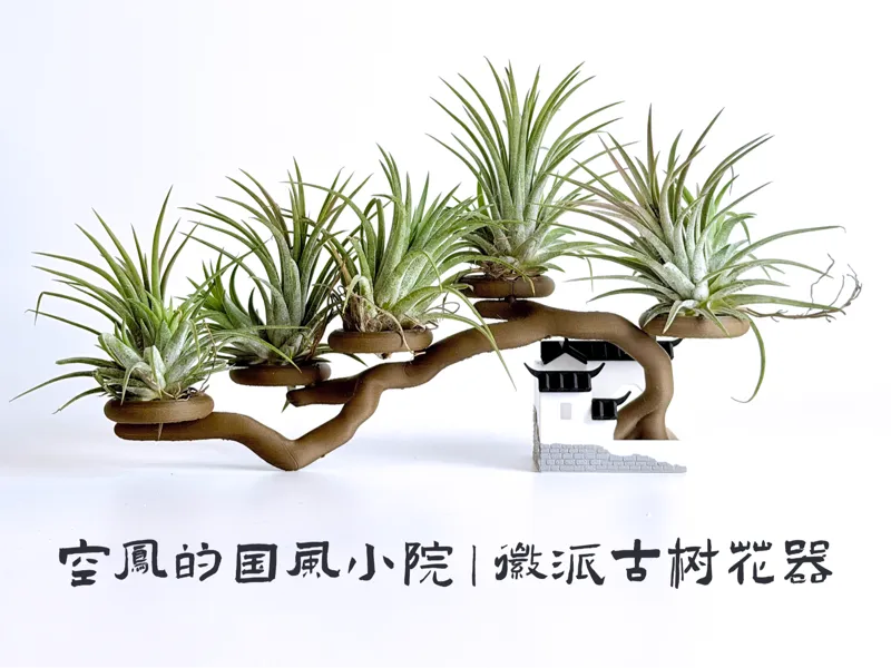 空凤的国风小院｜徽派古树花器