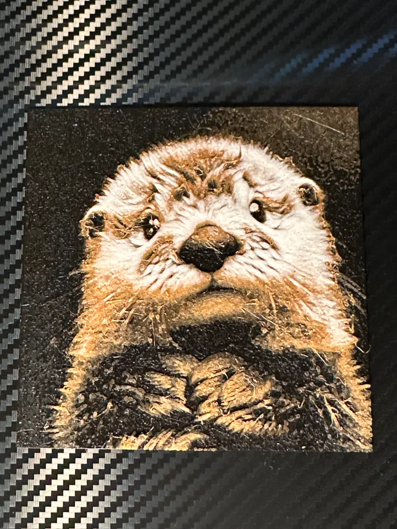 Friendly Otter (100x100)
