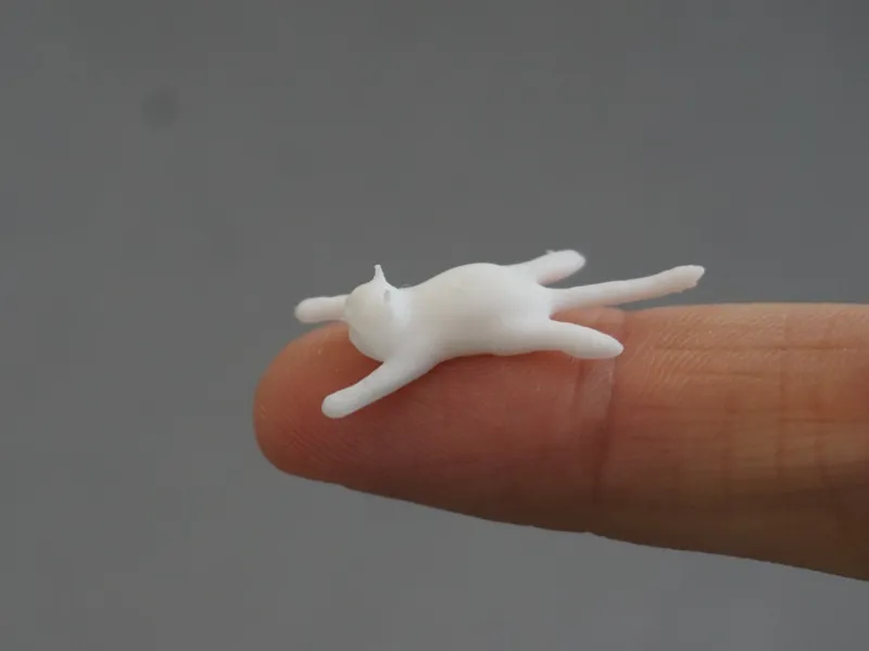 Cute cat (from 9min and different sizes)