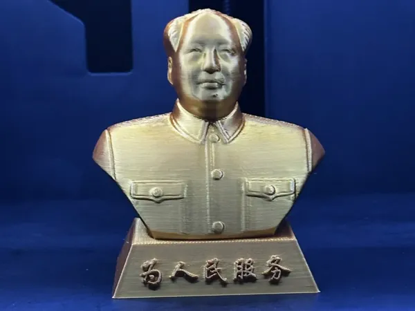 https://makerworld.bblmw.com/makerworld/model/US1a835de13a4008/design/8691a92e-3d1d-4014-bd55-062a0ca622f7.webp