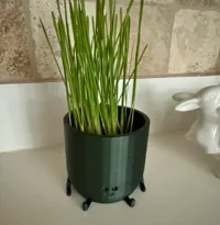 Jardinière mignonne — photo 2