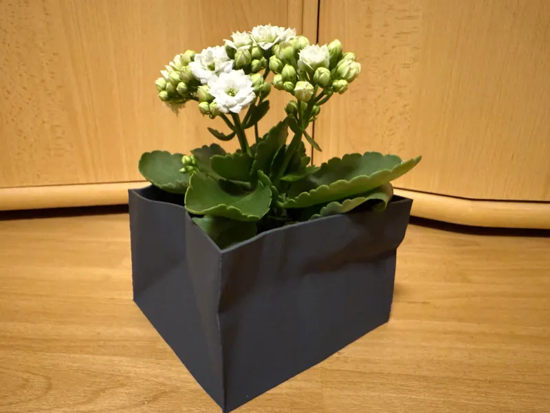 Moderner Blumentopf