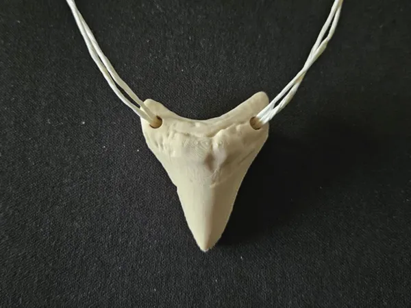 https://makerworld.bblmw.com/makerworld/model/US1a878f23b6361c/design/b10261a332898d73.png